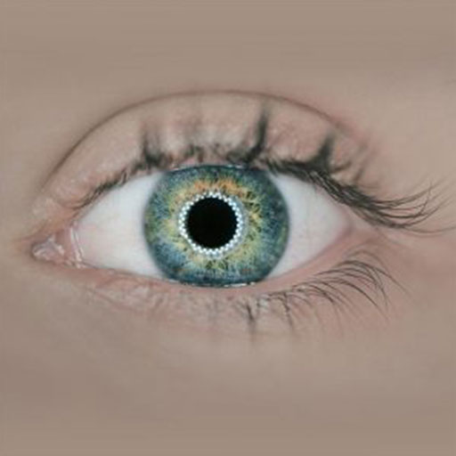 mcray denton comprehensive eye exams1