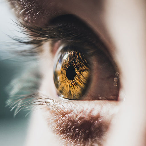 mcray denton ocular disease